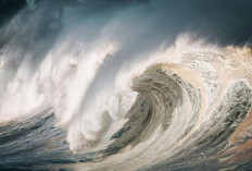  BMKG: Waspada Gelombang Tinggi!