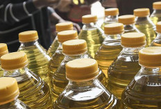 Babel Tambah Pasokan 356 Ton Minyak Goreng