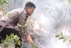 Respon Cepat! Padamkan Kebakaran Lahan Dalam 3,5 Jam