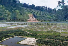 Pembeli Lahan Lelap Pergam Diduga Ada 10 Pengusaha