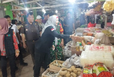 Wabup Debby Pantau Bahan Pokok di Pasar Terminal