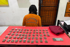 Pengedar Ganja Ditangkap Polisi