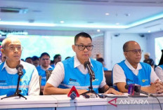 PLN Sebut 