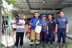 Damkar Evakuasi Ular dari Atap Rumah Warga 