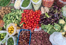 Produksi Pangan Nasional Aman