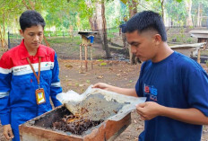 Pertamina Serahkan 20 Koloni Madu Kelulut