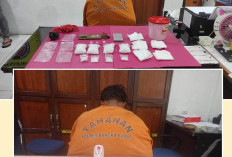 Polisi Gagalkan Peredaran Setengah Kilogram Sabu