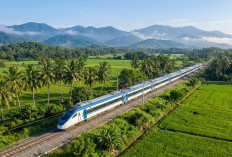 PLN Group Selesaikan dua Proyek ECRL di Malaysia