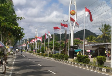 Pemkab Bangka Gelar Pawai Indah dan Parade Drumband HUT RI