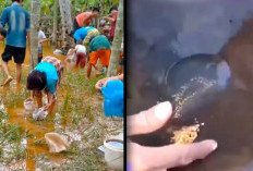  Temuan Warga Aceh Pasca Bencana, Ada Emas Hingga Solar!