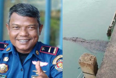 Kawanan Buaya Teror Nelayan Tanjung Rusa