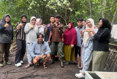 Dukung Budidaya Kepiting: Mahasiswa KKN UNMUH Babel Lakukan Pemetaan Tambak Kepiting di Desa Kapit