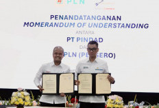 PLN - Pindad Menandatangani MoU