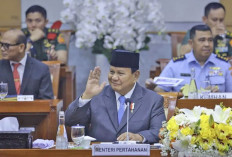 Diundang PKB Pakai Dasi Hijau, Prabowo: Kalau Diundang PDIP Dasi Merah