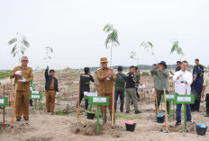 Pemprov Tanam Kaliandra di Lahan Bekas Tambang