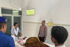 Penyelam Tambang Tewas di Teluk Inggris 