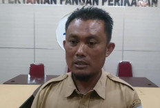 Dinas Pertanian Basel Ajak Masyarakat Beli Beras SPHP