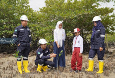 PT Timah Tanam Berbagai Jenis Pohon