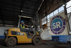 PT Timah Setor Pajak dan PNBP Rp 1 Triliun