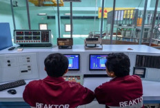 BRIN Kembangkan Reaktor Nuklir Skala Kecil yang Cocok untuk Indonesia