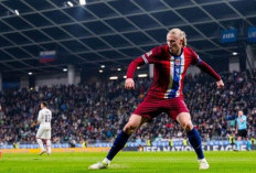 Sundulan Haaland Jadi Rekor 50 Gol Tercepat di Liga Champions