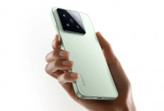 Xiaomi 16 dan 16 Pro Punya Kamera dan Baterai Besar