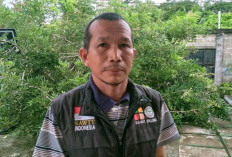 APKASINDO Kawal Jaminan Keselamatan Kerja Pekerja Sawit