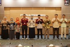 PLN dan BPS Perkuat Akurasi Data Pelanggan