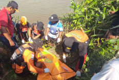 Jasad Korban Terkaman Buaya Ditemukan