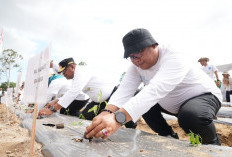 Pj Gubernur Babel dan Pj Bupati Bangka Canangkan Gerakan Tanam 10.000 Cabai Serentak Se-Kabupaten Bangka