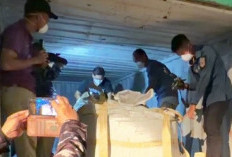  15 Kontainer PMM Masih 'Nyangkut' di Batam, Sudah Hampir 1 Bulan?
