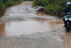 Jalan Pijal Melayu Rusak Parah Bak Kubangan Kerbau