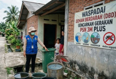 Tren Kasu DBD Meningkat, Warga Diimbau Waspadai Genangan Air