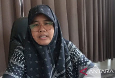 162 Kopdes Merah Putih Ajukan Kemitraan dengan BUMN
