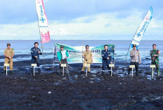 PT Timah Tanam 3000 Mangrove di PantaI