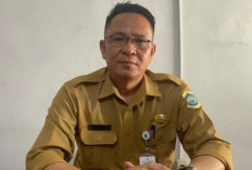 Disnaker Pastikan Korban PHK Smelter Timah Terima Hak