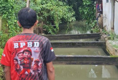 BPBD Waspadai Pasang Air Laut 2,8 Meter