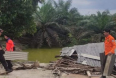 BPBD Bantu Bersihkan Puing Rumah Korban Puting Beliung