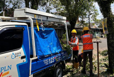 PLN UIW Babel Gelar Pemeliharaan Jaringan 