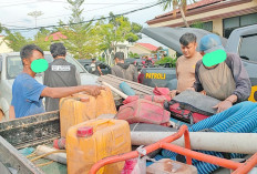 Rusak Kebun Sawit GSBL, 5 Penambang Timah Ditangkap Polres Bangka Barat