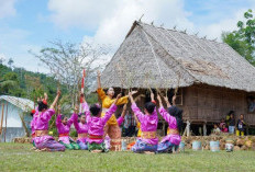 Program PPM PT Timah Sentuh Pendidikan dan Lingkungan