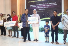 ﻿Pemkab Bangka Launching Program BPJS Ketenagakerjaan Bagi Pekerja Perkebunan Sawit