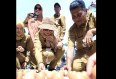 Festival Pasir Padi Bius Masyarakat Pangkalpinang 