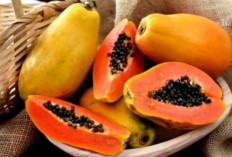 5 Manfaat Biji Pepaya untuk Kesehatan 
