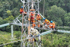 PLN Jaga Keandalan Listrik Tanpa Padam