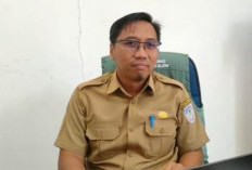Seluruh Faskes Diminta Perketat Pengawasan Deteksi Dini Hantavirus