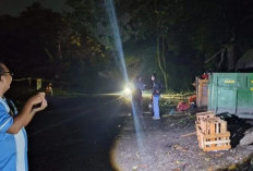 Pengelolaan Sampah di Bangka Dipantau Ombudsman