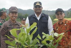 Kolaborasi Lestarikan Lingkungan, Tanam 2500 Bibit Pohon