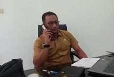 BPBD Tangani 61 Bencana Dampak Cuaca Ekstrem di Babel