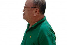 Siapa 'Buaya' Tambang Illegal di 'Lubuk'? Kini Herman Fu Jadi Sibuk?